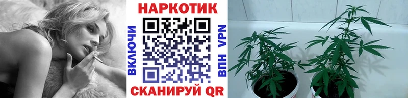 Сколько стоит Шелехов Канабис  А ПВП  Гашиш  Меф мяу мяу 