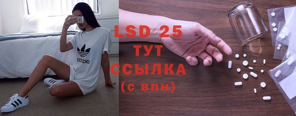 ПСИЛОЦИБИНОВЫЕ ГРИБЫ Алексин