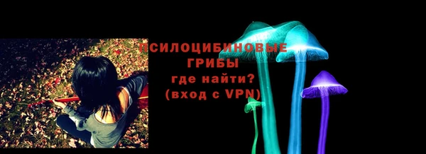 ПСИЛОЦИБИНОВЫЕ ГРИБЫ Алексин