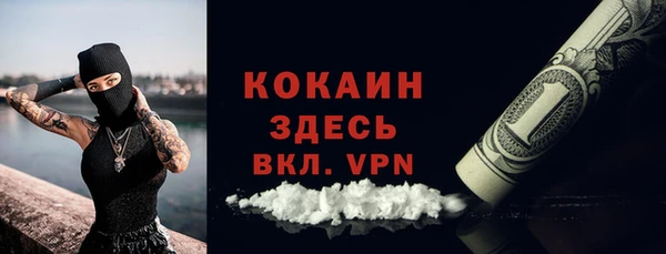 твердый Алзамай