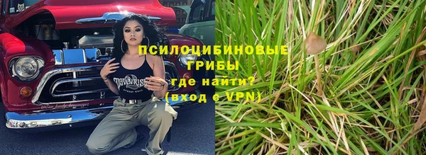 твердый Алзамай