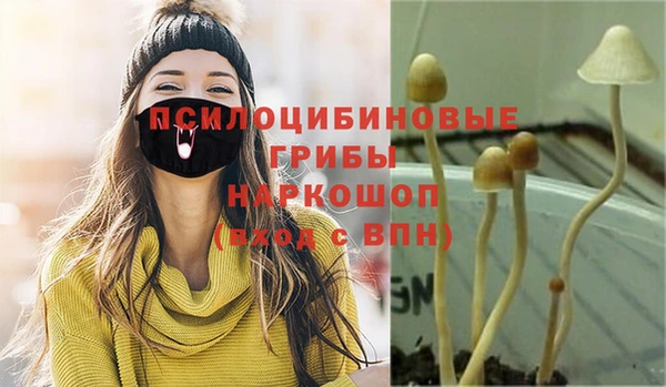 ПСИЛОЦИБИНОВЫЕ ГРИБЫ Алексин