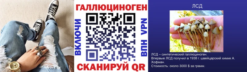 Псилоцибиновые грибы MAGIC MUSHROOMS наркотики Шелехов